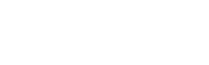 light logo
